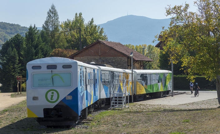 Vasco-Navarro Bide Berdearen Interpretazio Zentroa