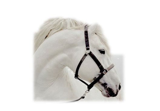 udalekuak-2021-HIPIKA